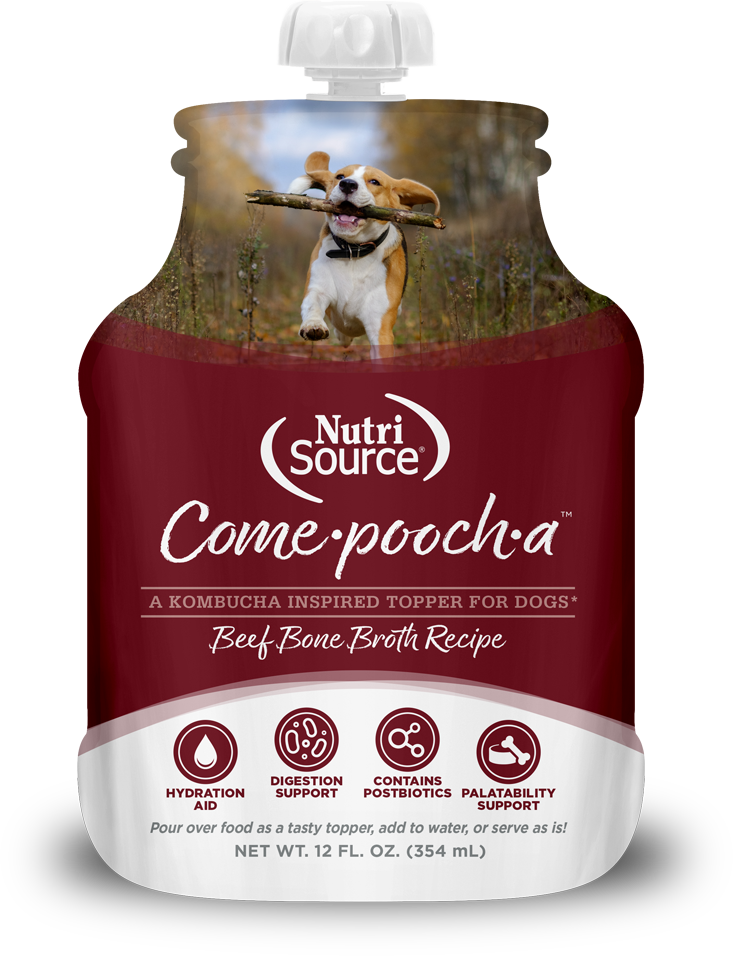 NutriSource Come-Pooch-A Beef Bone Broth 12-oz