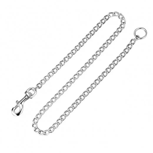 Ring Steel Chain Lead