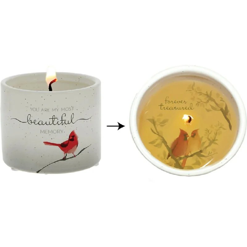 Pavilion Gift Co : Beautiful Memory - 8 oz - 100% Soy Wax Reveal Candle Scent: Tranquility