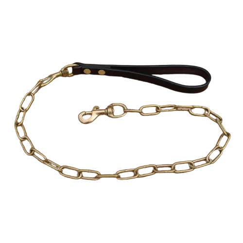 Gold Chain Lead with Red Nylon Handle