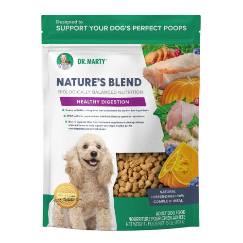 DR. Marty Natures Blend Healthy Digestion Freeze-Dried Raw Dog Food