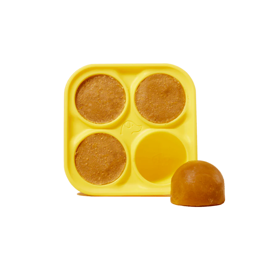 Woof The Pupsicle Treat Tray Freezer Mold for Dog Trteats