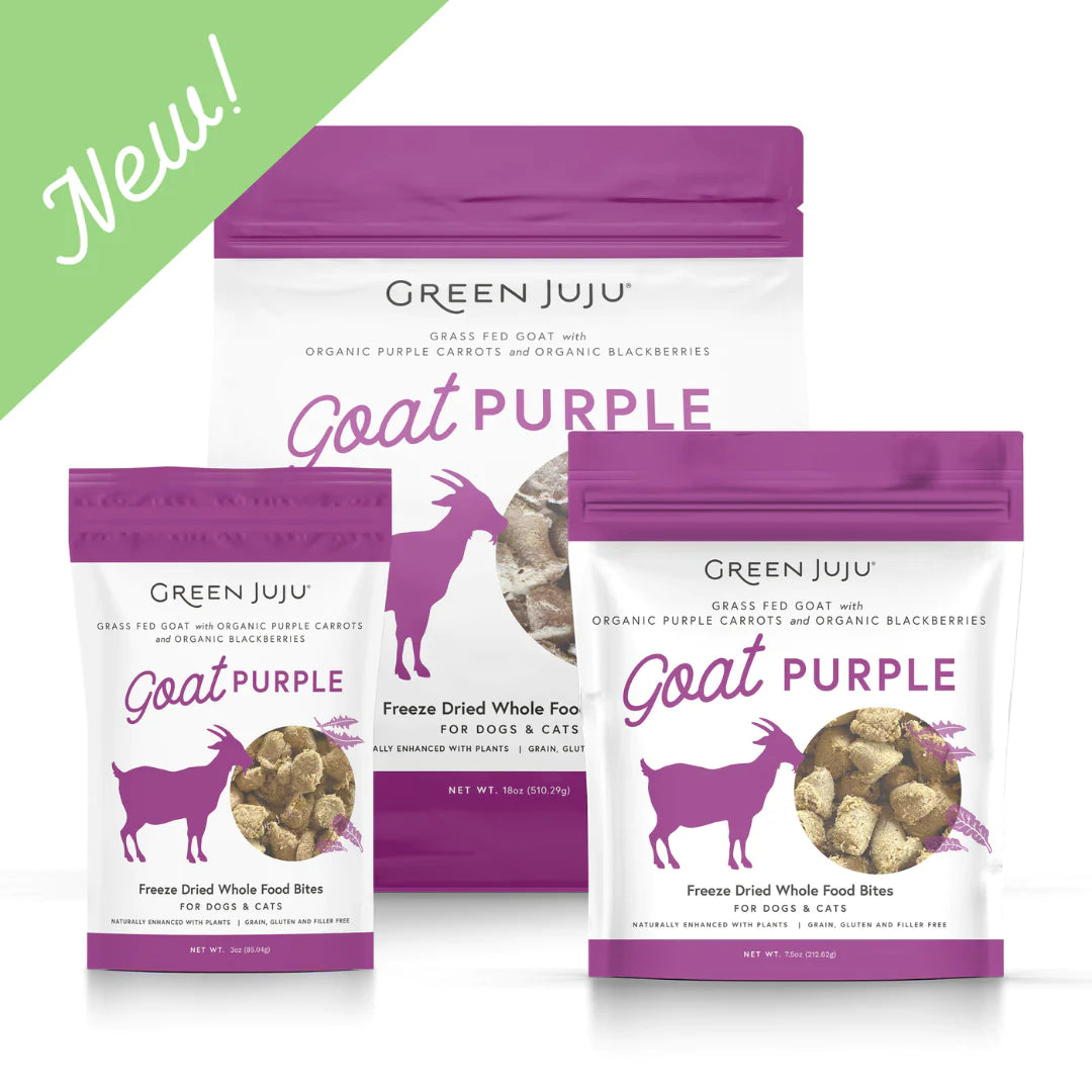 Green JuJu Freeze Dried Goat Purple Bites for Dogs & Cats