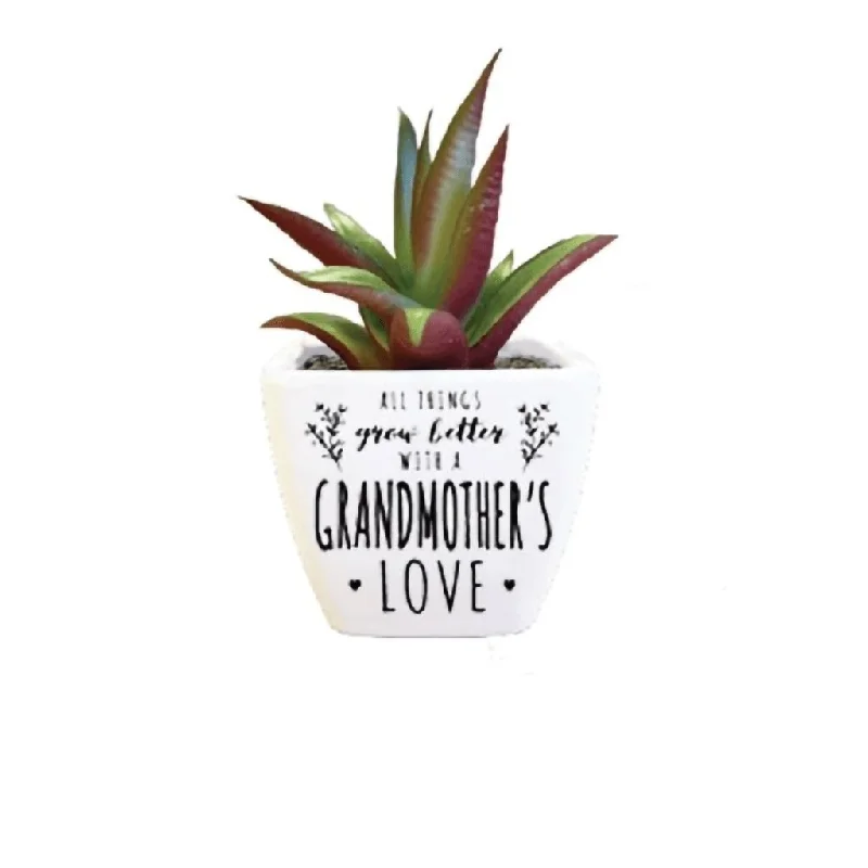 H & H Gifts : Succulent -  Grandson