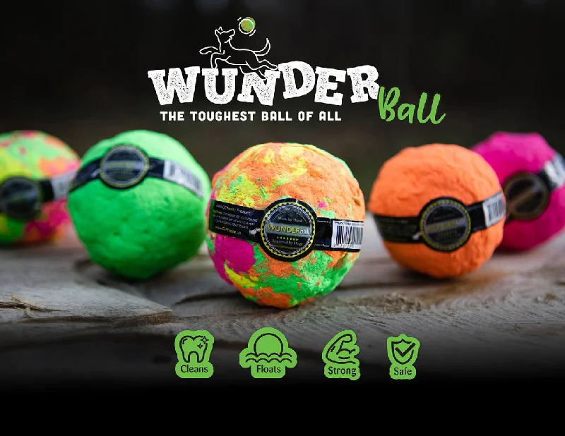 Wackywalk'r Wunderball Dog Toy