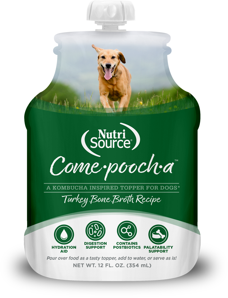 NutriSource Come-Pooch-A Turkey Bone Broth 12-oz