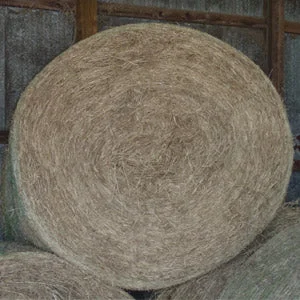 Coastal Hay Roll - Horse Quality