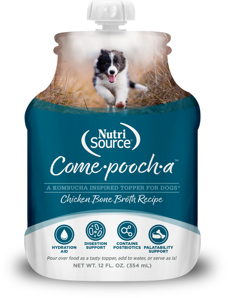 NutriSource Come-Pooch-A Chicken Bone Broth 12-oz