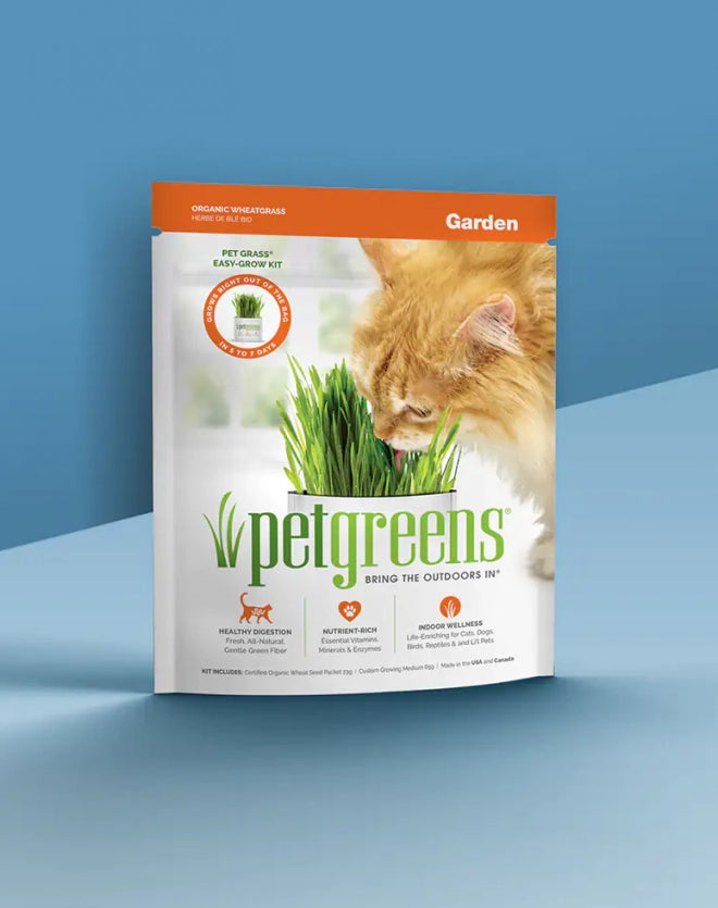 Petgreens Organic Wheatgrass Garden