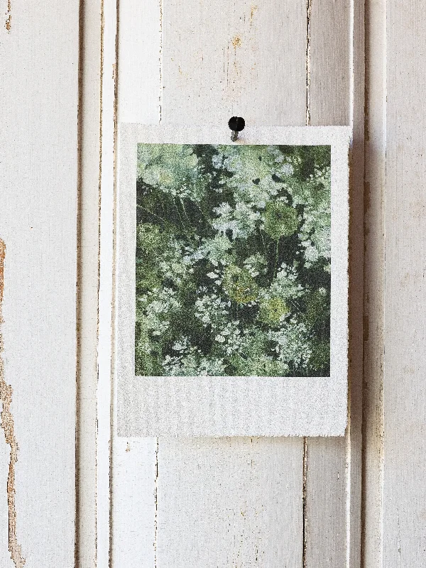 Queen Anne's Lace "Watercolor"