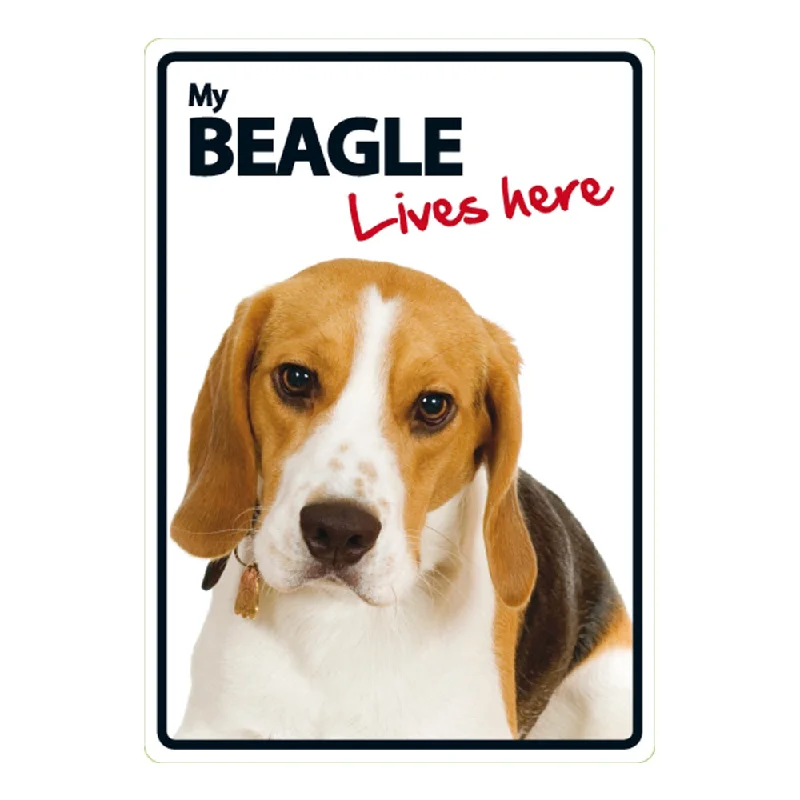 Dog Sign Beagle Lives Here