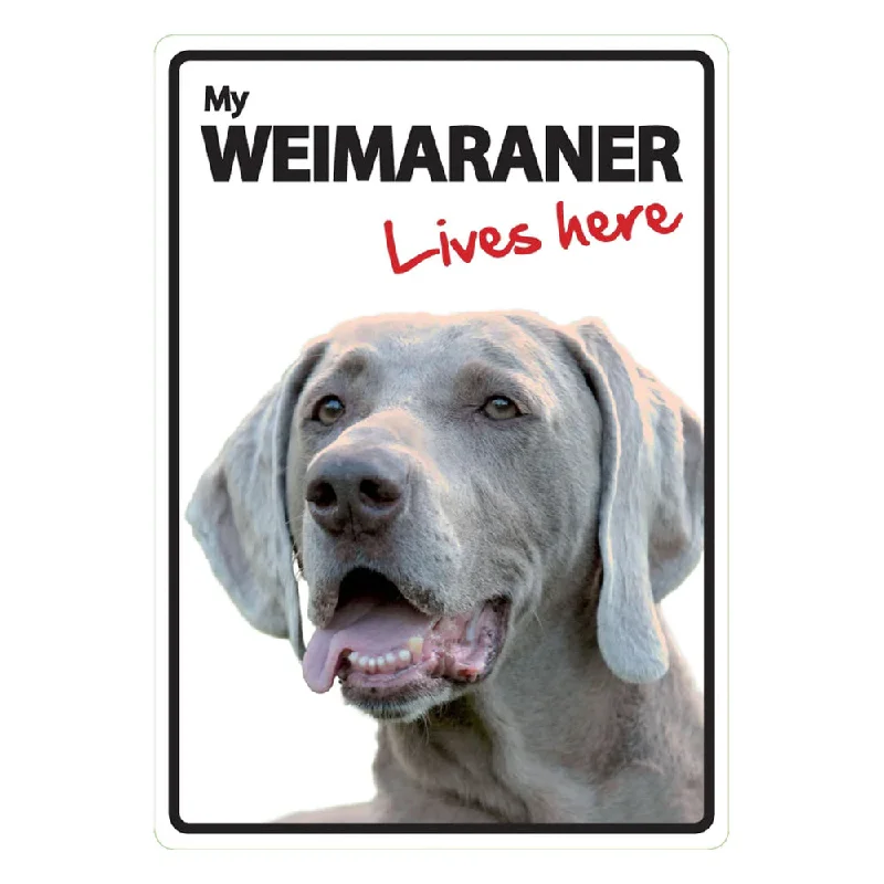 Dog Sign Weimaraner Lives Here